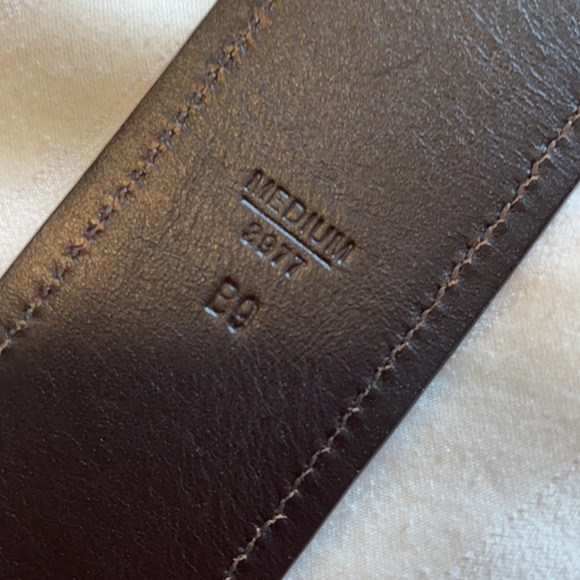 Coach belt - Picture 7 of 7